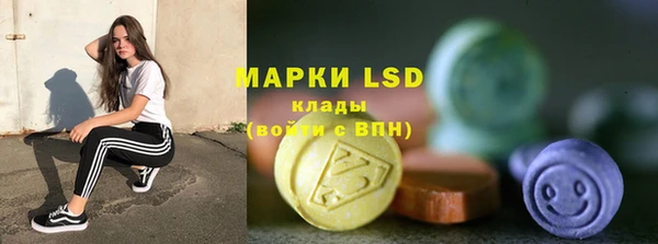 прущий лед Алзамай