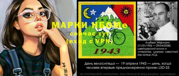 прущий лед Алзамай